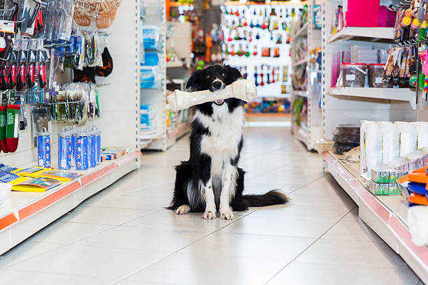Pet Shop: Agenda e Banho/Tosa com Menos Falhas Operacionais